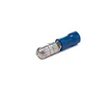 04261_thumb