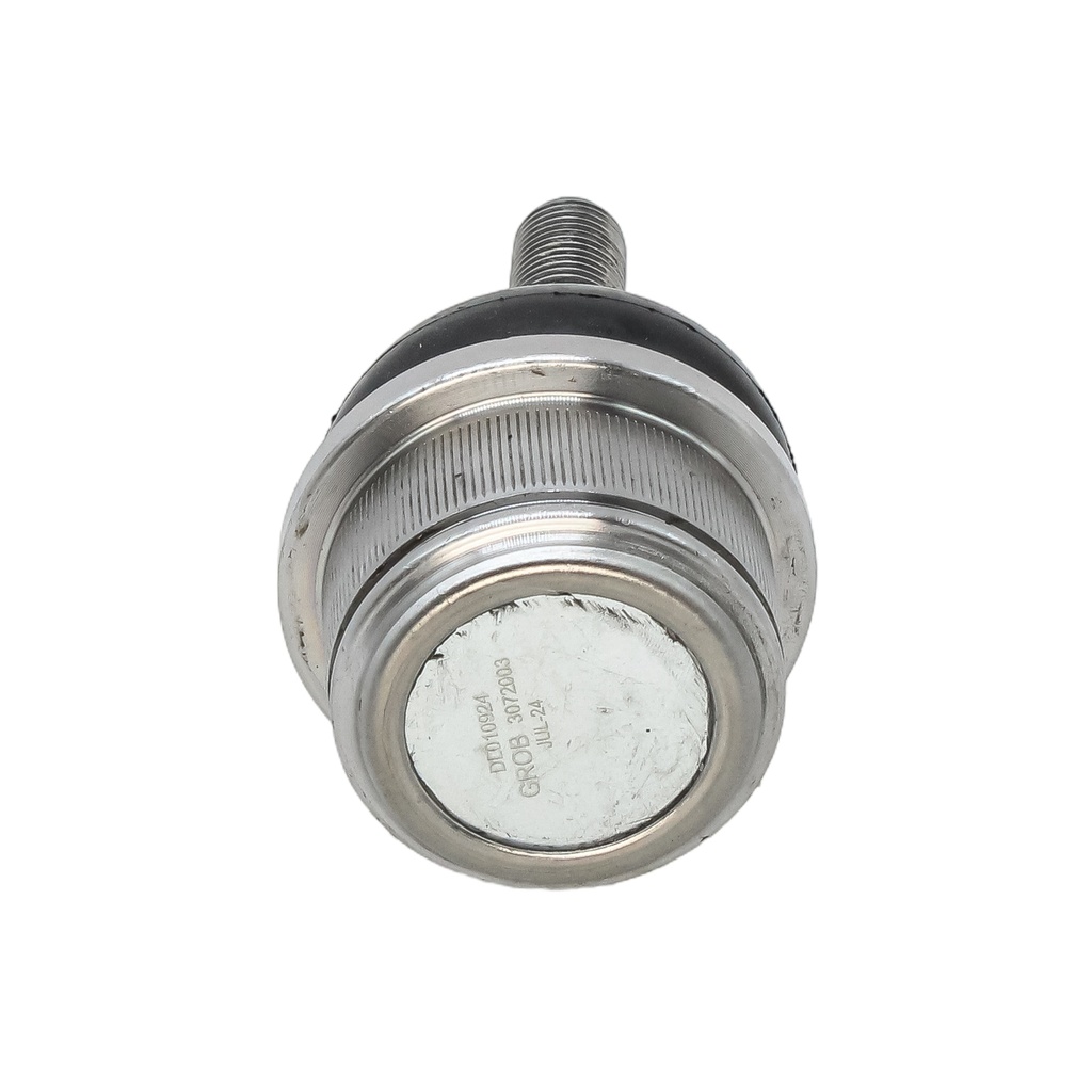 Rótula - vista 1
