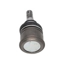 Rótula - vista 1