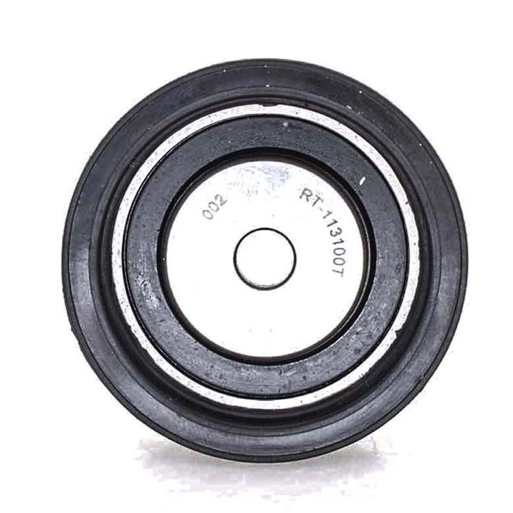 RO-RT-113100T - vista 2
