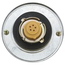 MGC49 4