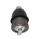 Rótula - vista 1