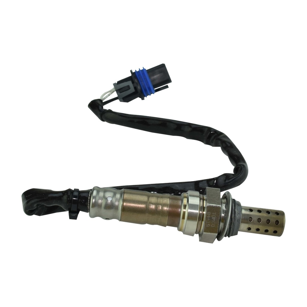 11281_1.jpg