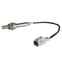 11929_2.jpg