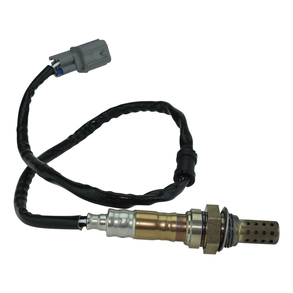 11950_1.jpg