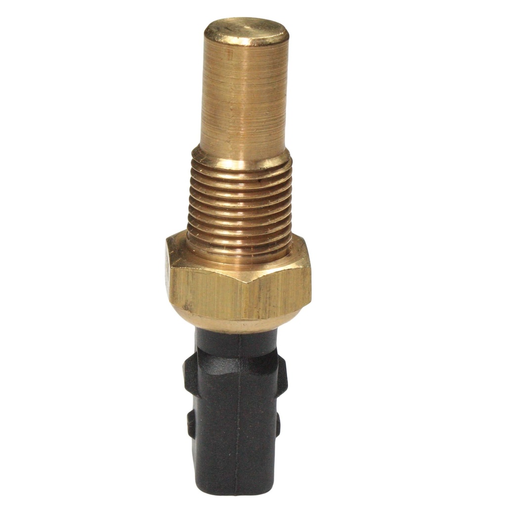 12052_2.jpg