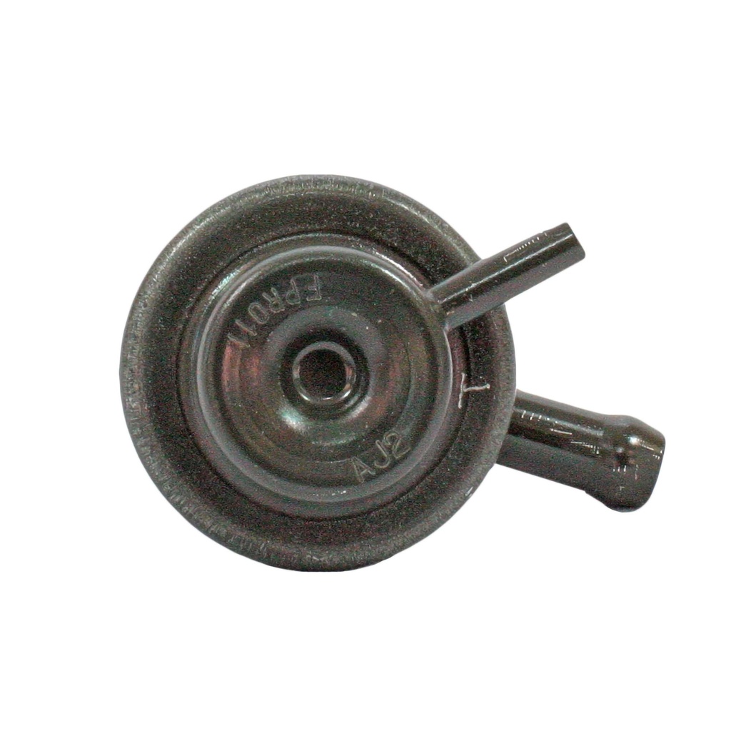 21973_1.jpg
