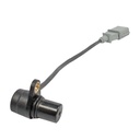 22305_1.jpg