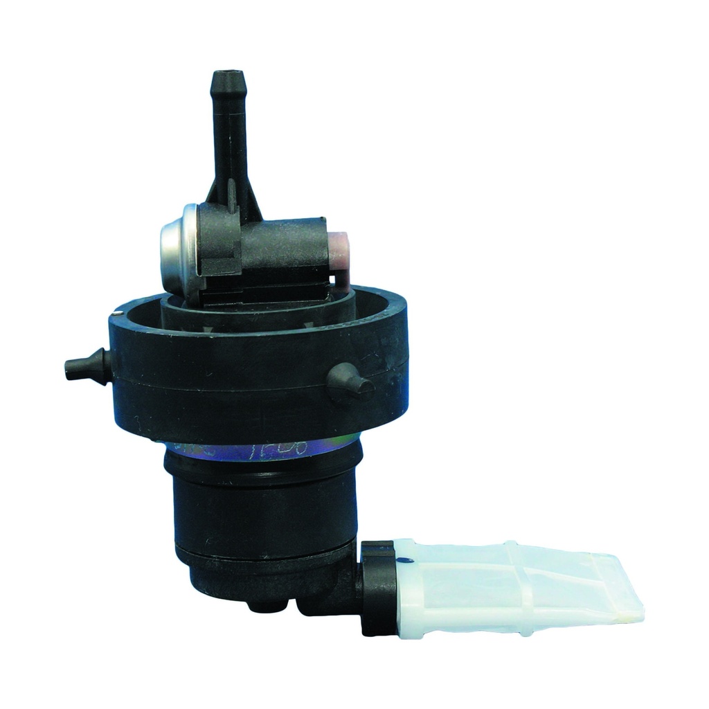 314-E_1.jpg