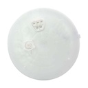 4872-E_2.jpg