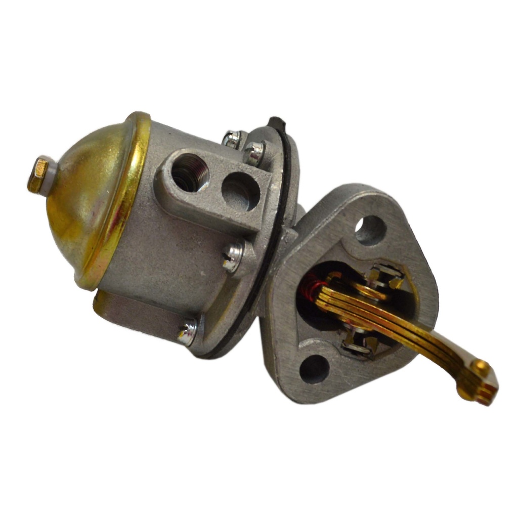 7451_2.jpg