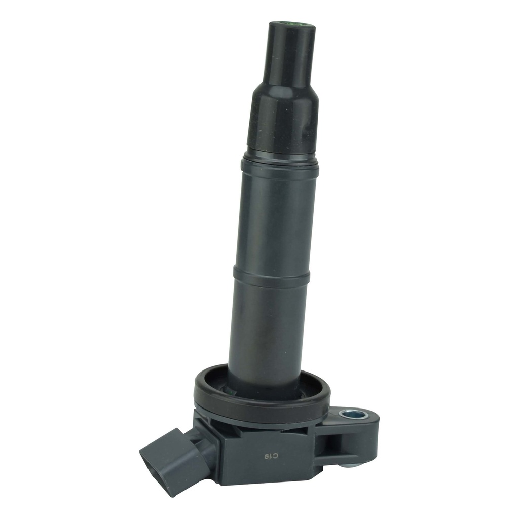 IC-100_1.jpg