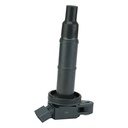 IC-100_1.jpg