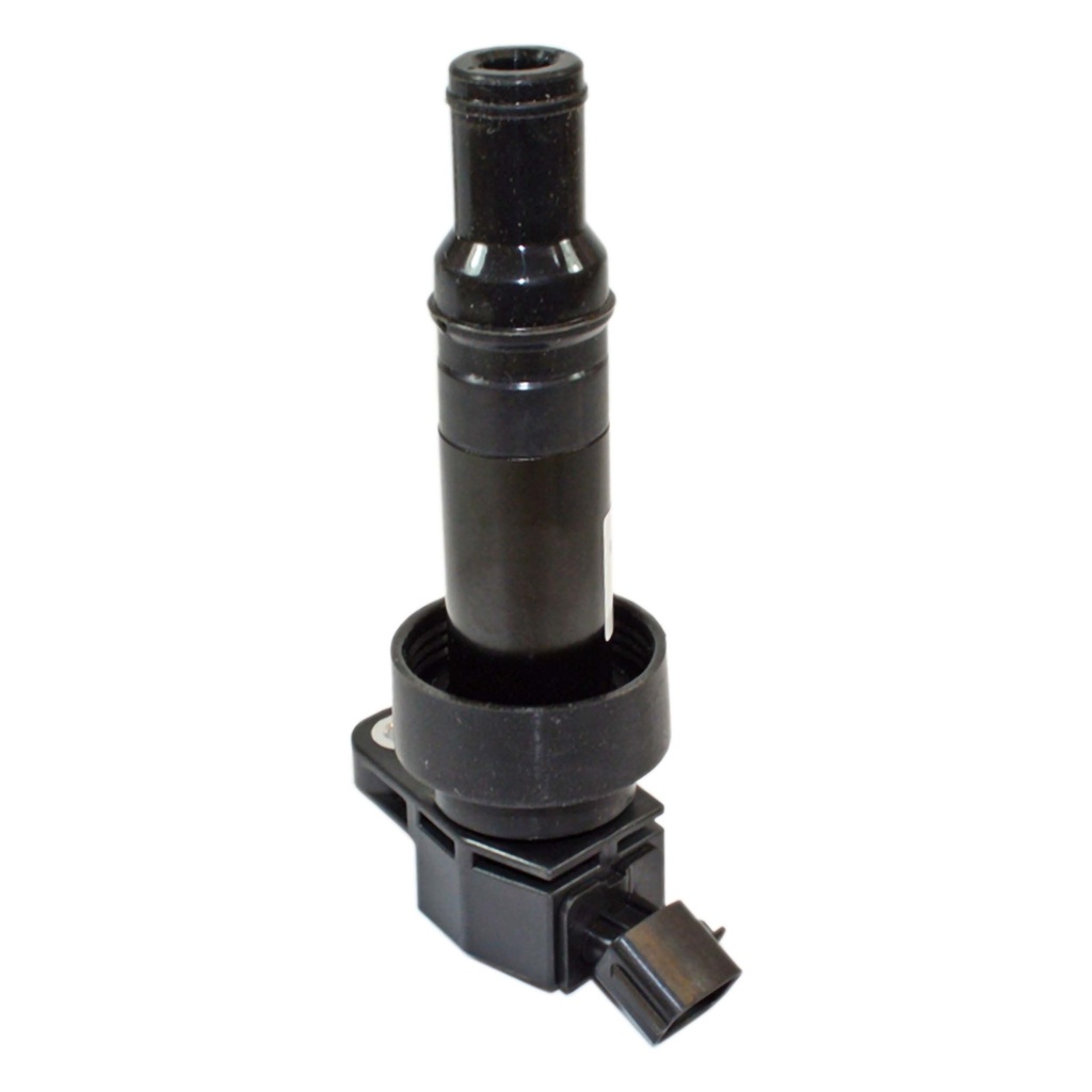 IC-107_2.jpg
