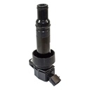 IC-107_2.jpg