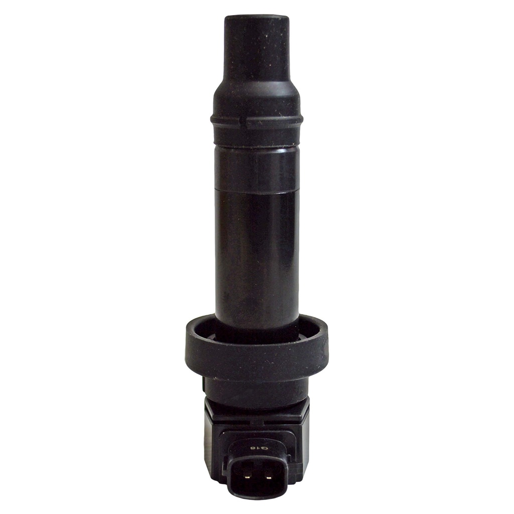 IC-110_2.jpg