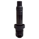 IC-110_2.jpg