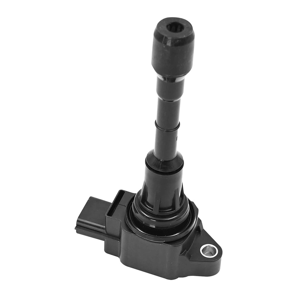 IC-1107_1.jpg