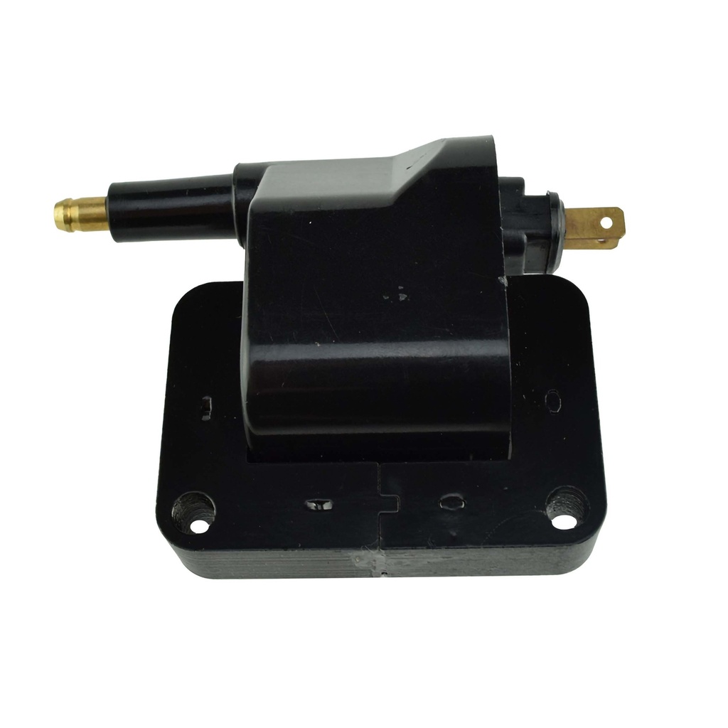 IC-111_1.jpg