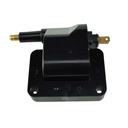IC-111_1.jpg