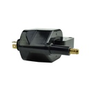 IC-111_2.jpg