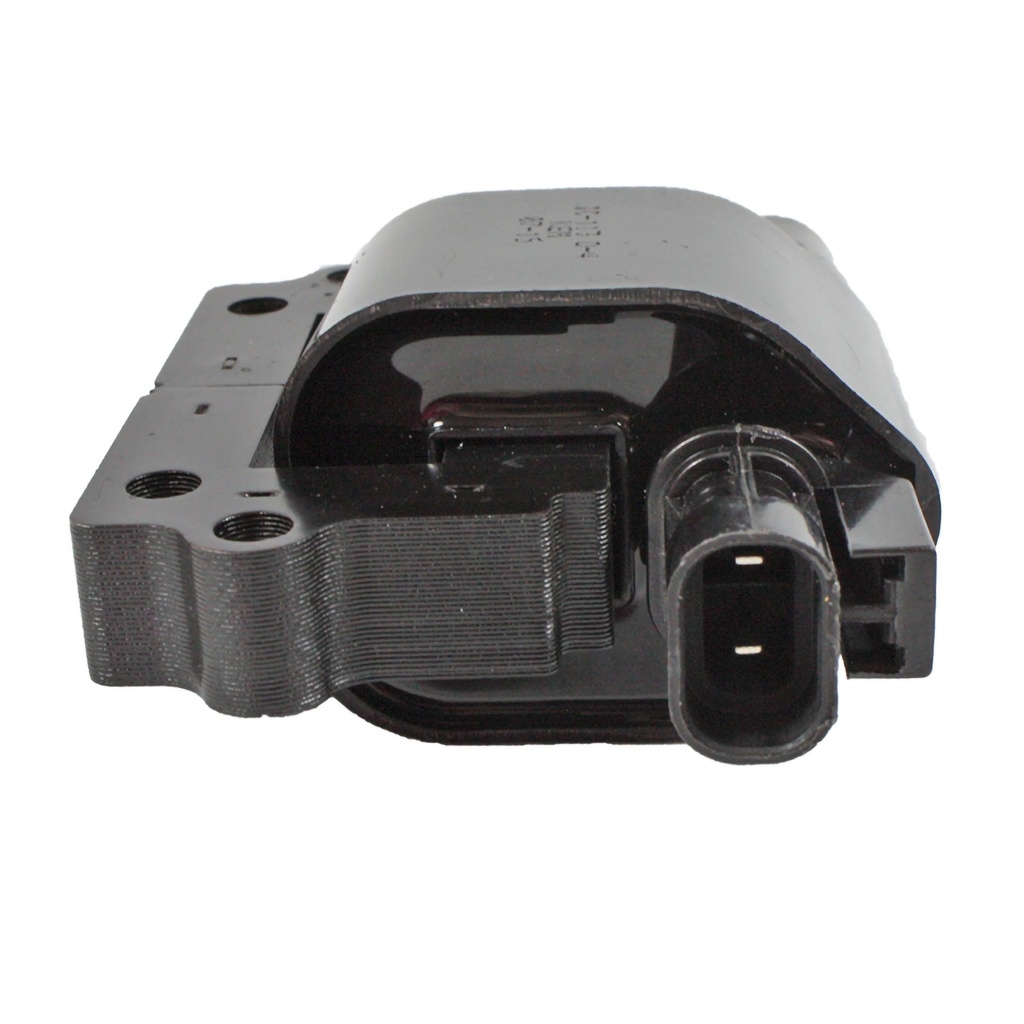 IC-113_1.jpg