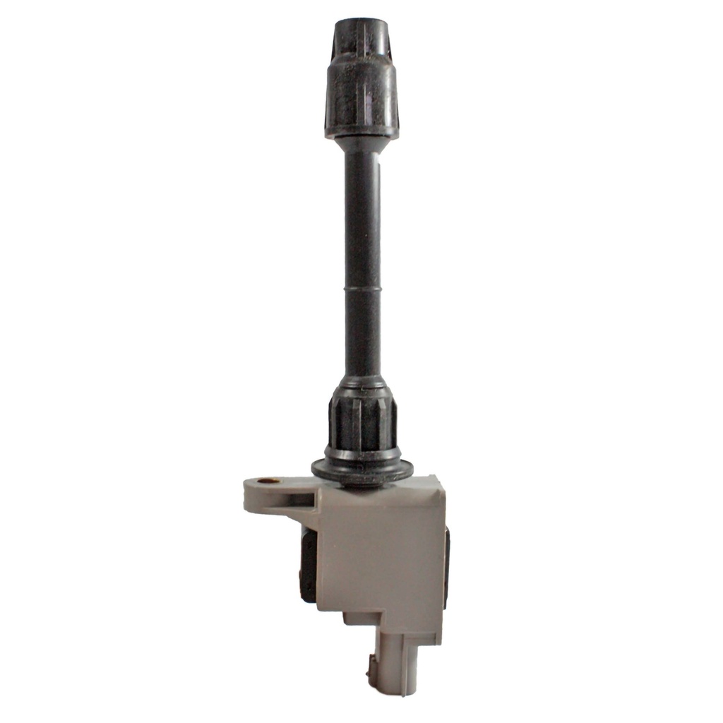 IC-1131_2.jpg