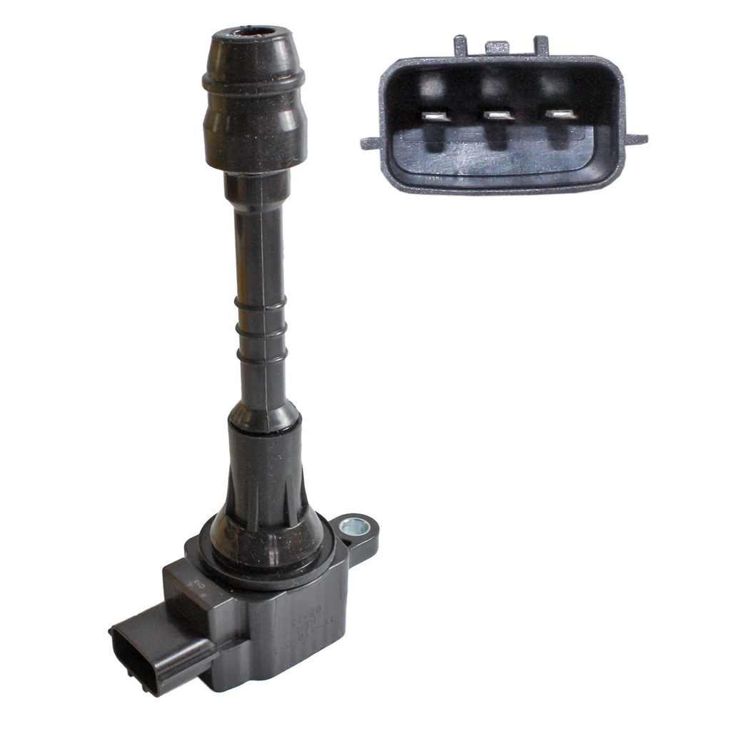 IC-118_1.jpg