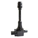 IC-118_2.jpg