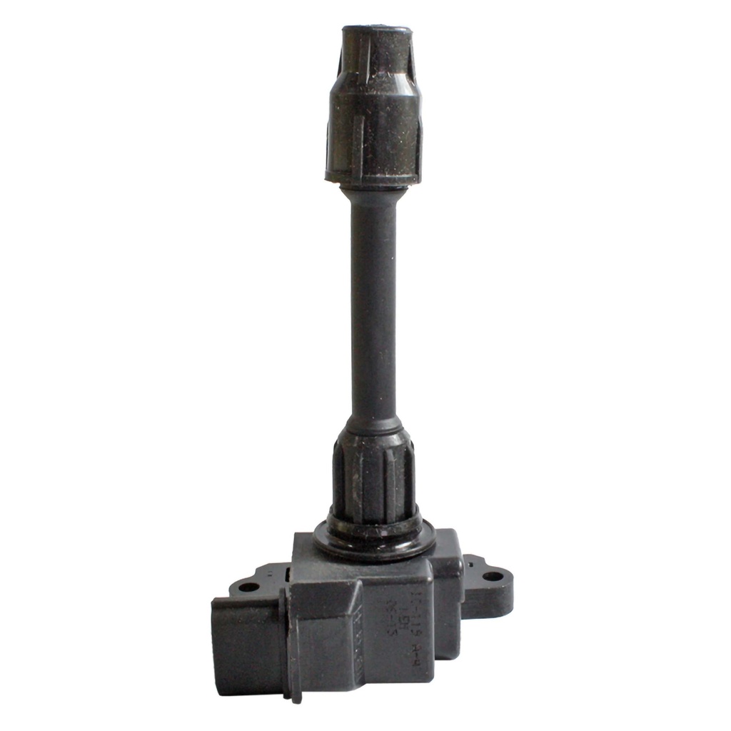 IC-119_1.jpg