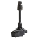 IC-119_1.jpg