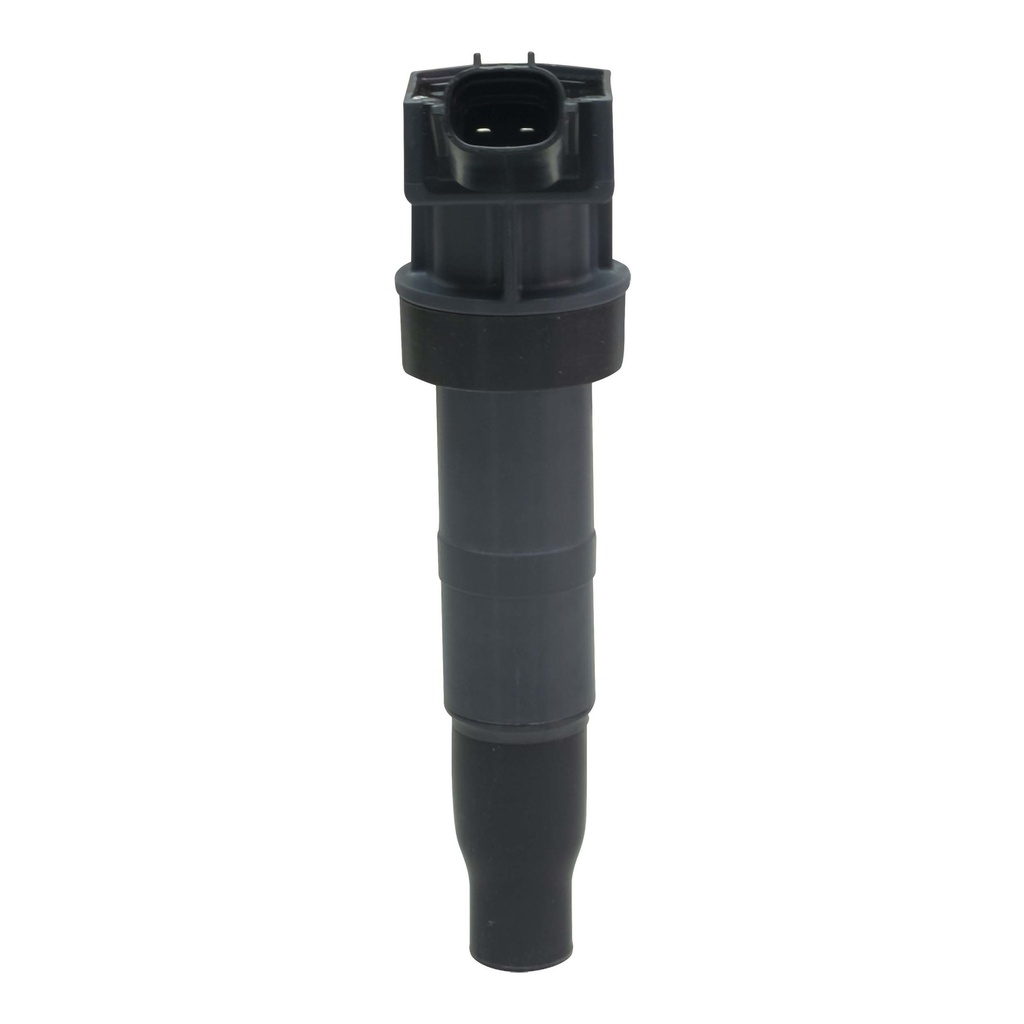 IC-1205_1.jpg