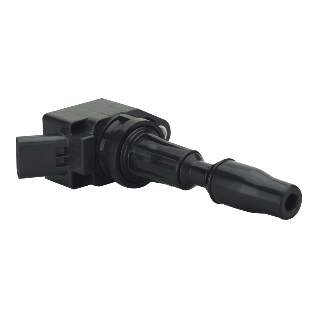 IC-1207_1.jpg