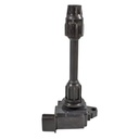 IC-121_2.jpg