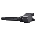 IC-132_1.jpg