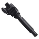 IC-132_2.jpg