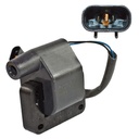 IC-191_1.jpg