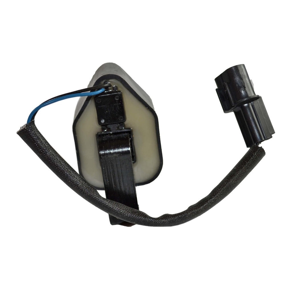 IC-191_2.jpg