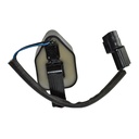 IC-191_2.jpg