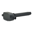 IC-194_2.jpg