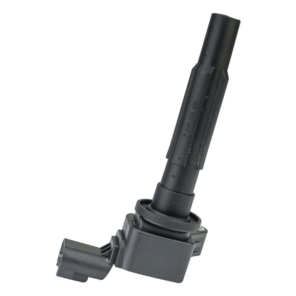 IC-207_1.jpg