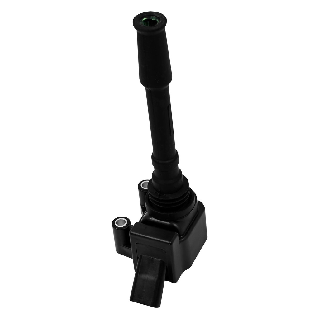 IC-213_1.jpg