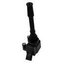 IC-213_1.jpg