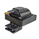 IC-24_1.jpg