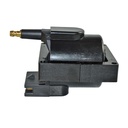 IC-24_2.jpg