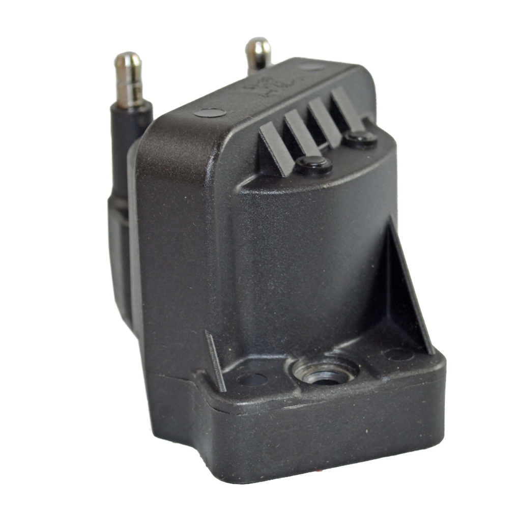 IC-30_1.jpg