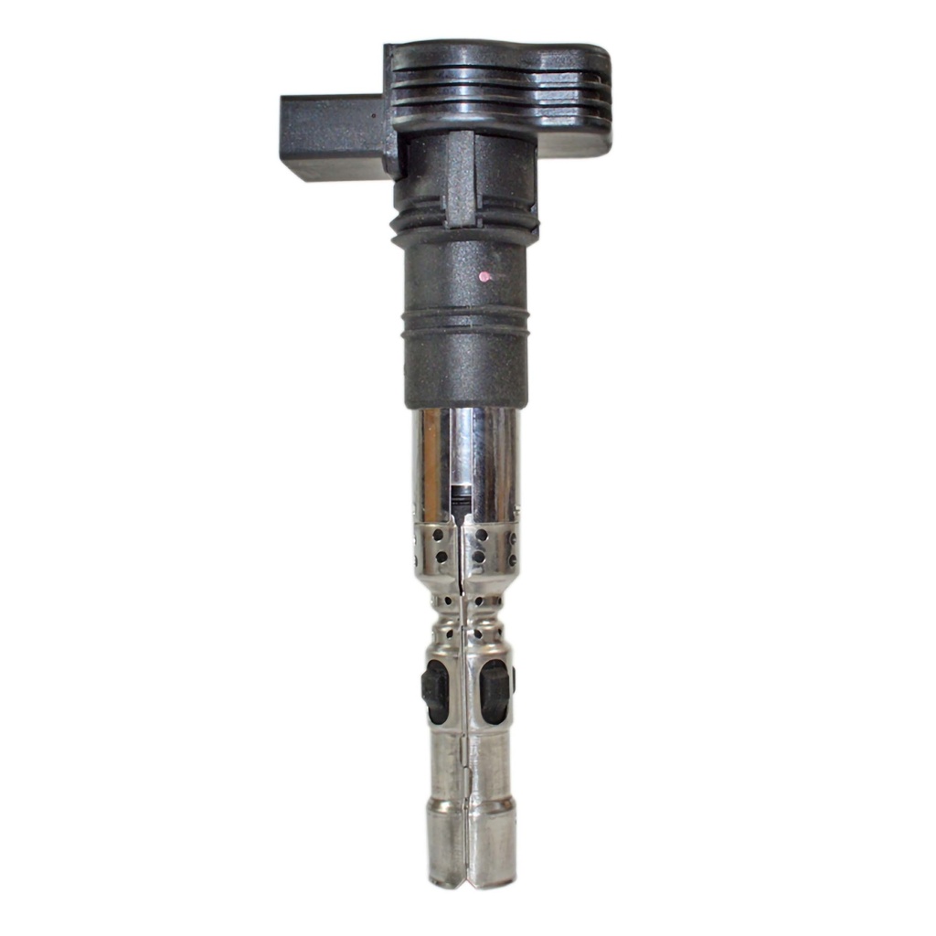 IC-300_1.jpg