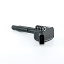 IC-303_2.jpg