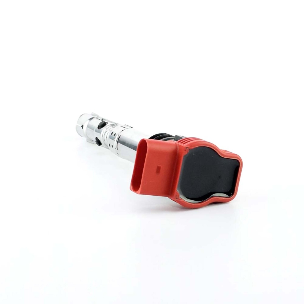 IC-304_2.jpg