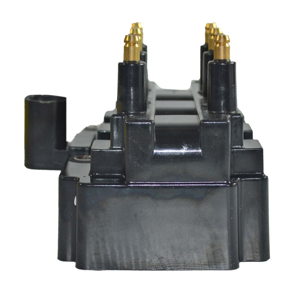 IC-31_2.jpg